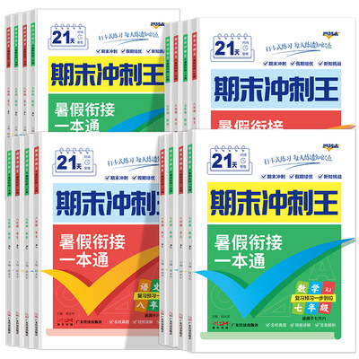 2024期末冲刺王暑假衔接一本通