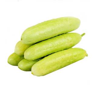 海阳白玉黄瓜种子种籽孑水果种籽春夏季秋季四季脆蔬菜旱新品种