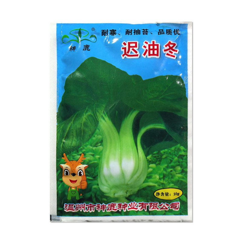 神鹿迟油冬青梗菜种子