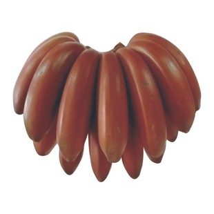 广西红皮香蕉 banana红蕉 美人蕉 新鲜香蕉孕妇水果现采现发包邮