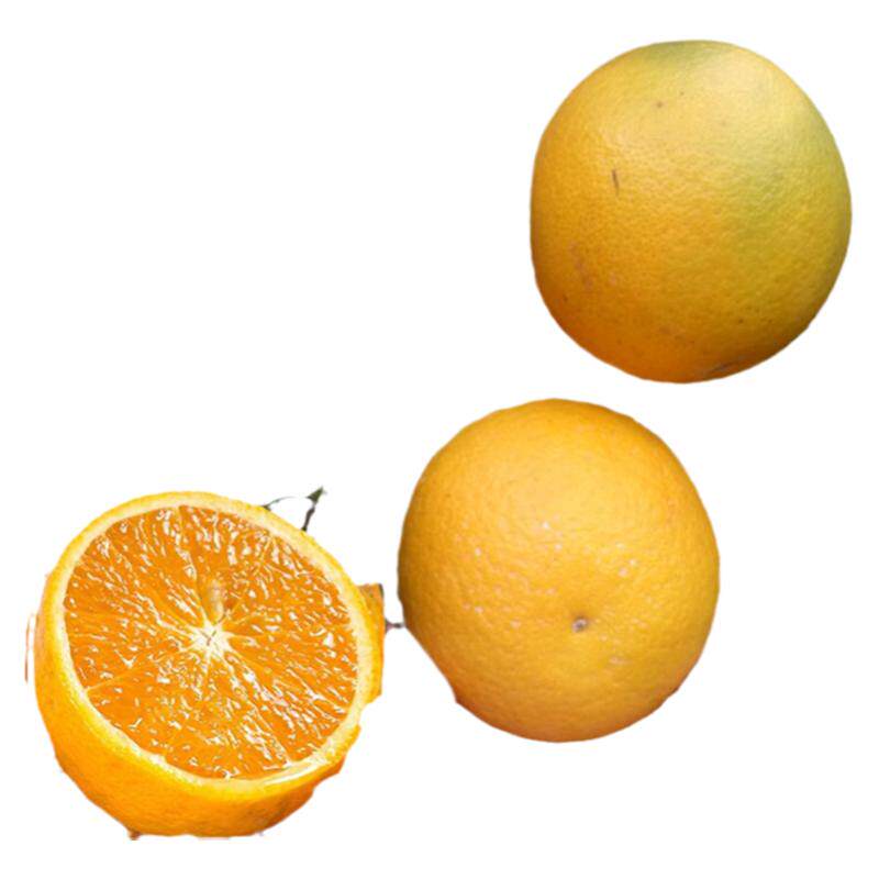 助农湖北新鲜甜橙秭归橙子伦晚脐橙无籽橙孕妇宝宝生鲜水果10斤邮