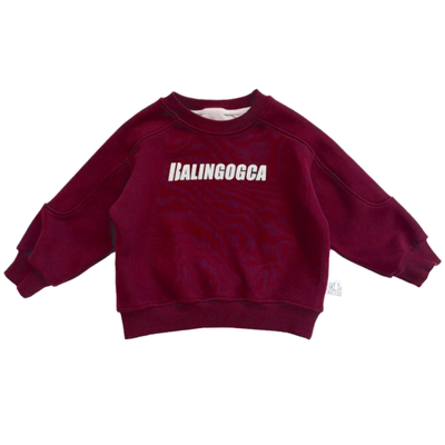 男童加薄绒卫衣2025秋冬季新款韩版童装中小童宝宝一体绒保暖上衣