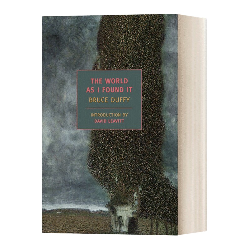 英文原版小说 The World As I Found It 我眼中的世界 Bruce Duffy 英文版 New York Review Books Classics 进口英语原版书籍