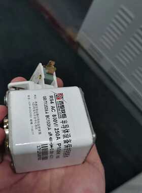 议价西整快熔 RS4 AC800V/250A P102NK h60 半导体设备保护用熔断