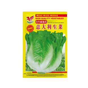 意大利生菜种籽四季春秋冬种植盆栽阳台菜籽种大全各种菜子种种孑
