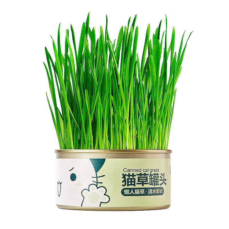 均1.4元/每罐~鹦鹉麦草罐促消化