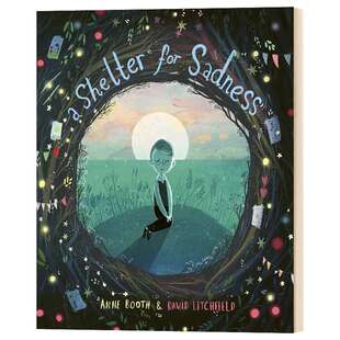 悲伤庇护所 英文原版 精装绘本 A Shelter for Sadness 英文版 David Litchfield 插画 精装 进口原版英语书籍儿童外文书