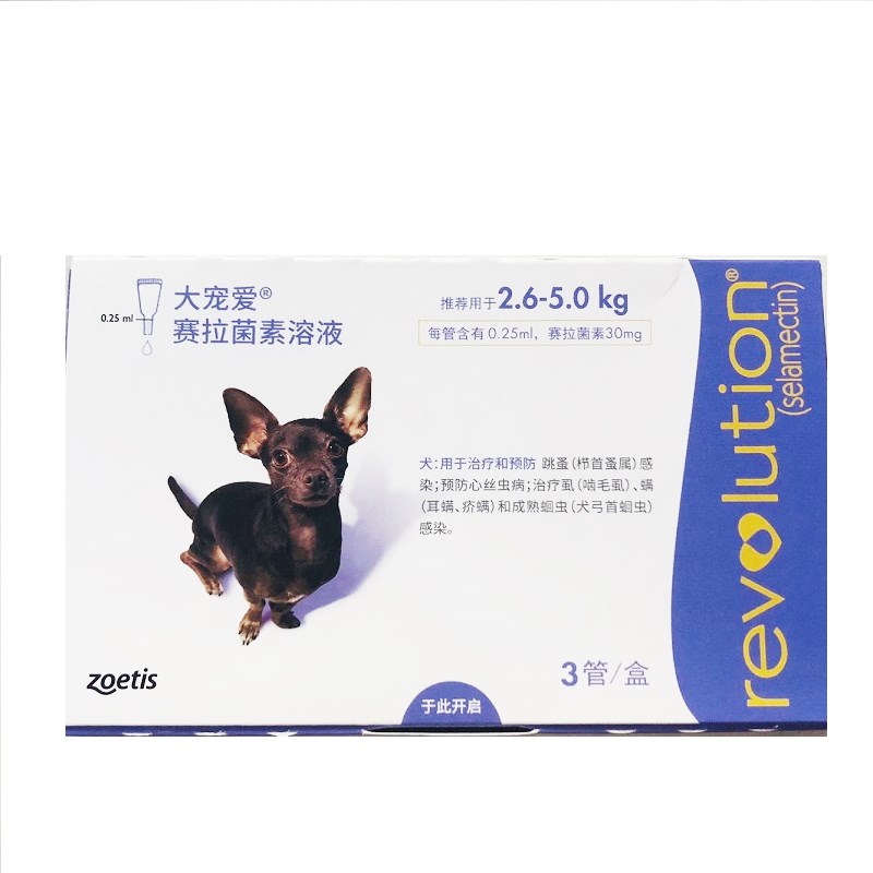 宠物狗狗泰迪除体内外体内