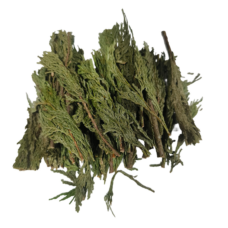 天然雪松干枝叶脱水脱干制北美红香薰香料