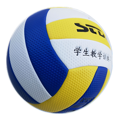 正品5号排球中考专用初中生标准款中考体育考试专用学生训练硬排