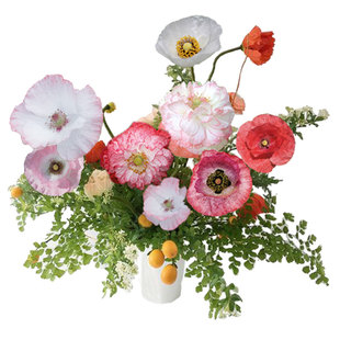 虞美人种子混合珍珠母春秋易种天使合唱团多年生阳台耐寒观赏切花