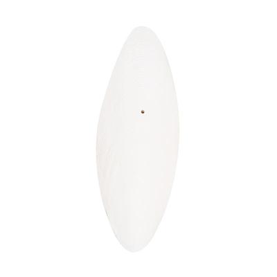 墨鱼骨磨牙补钙繁殖鸟用品海螵蛸