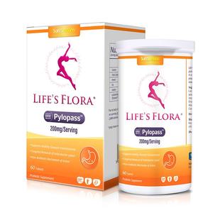 【自营】舒伯特清优片益生菌大人调肠胃pylopass罗尹氏乳杆菌60片