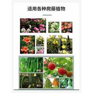 花架支架爬藤架蔷薇绿萝爬铁艺欧式 庭院 户外铁线莲花园葡萄架月季