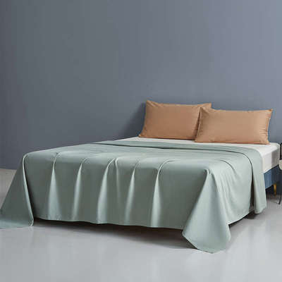 全棉A类磨毛长绒棉床单单件纯棉加厚保暖长绒棉纯色家用床上用品