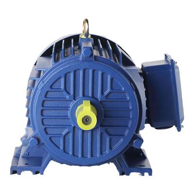 国标三相异步电动机全铜380v马达