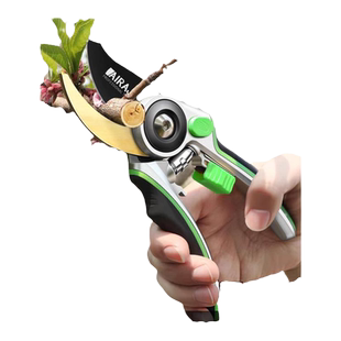 修剪树枝条园艺修枝剪刀专用果树花艺园林花剪子花卉绿化粗枝钳子