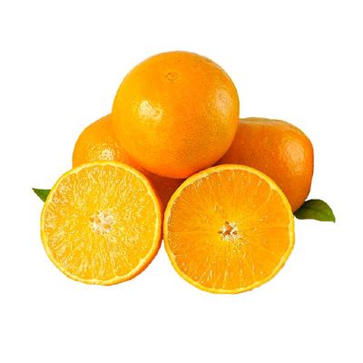 正宗四川爱媛果冻橙新鲜水果
