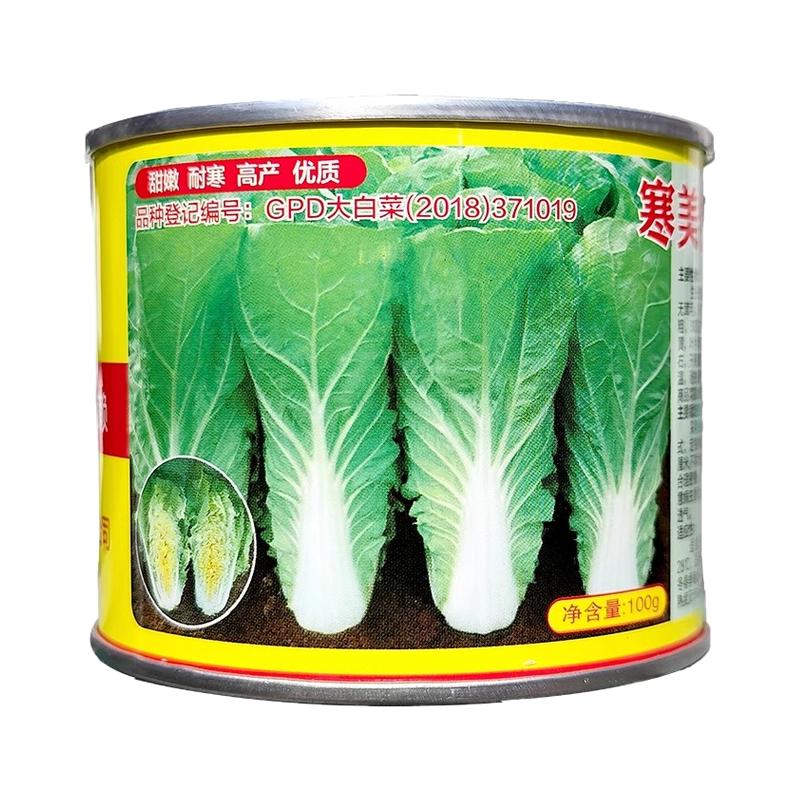 速生快菜种籽耐寒娃娃菜小白菜种