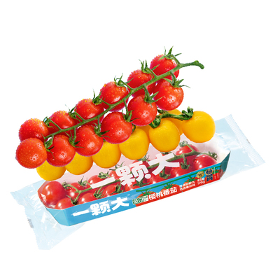【一颗大】串番茄串收红黄樱桃西红柿新鲜自然熟孕妇水果生吃柿子