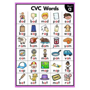 英语自然拼读入门CVC词族闪卡英文教具元音辅音字母小学单词卡片