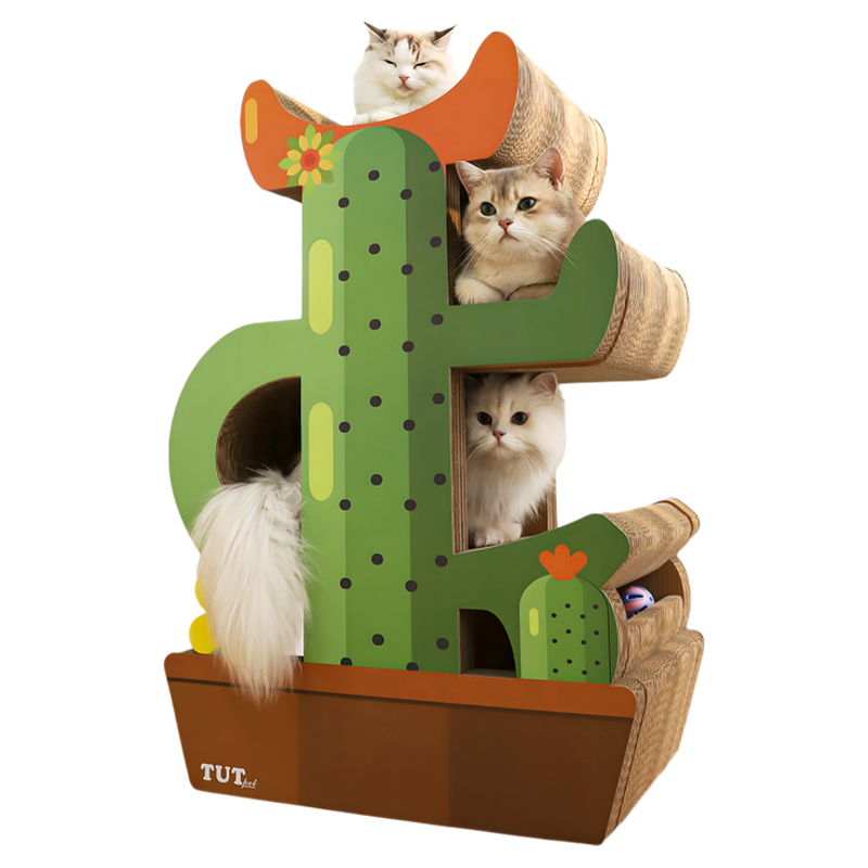 免安装仙人掌猫爬架|不占地