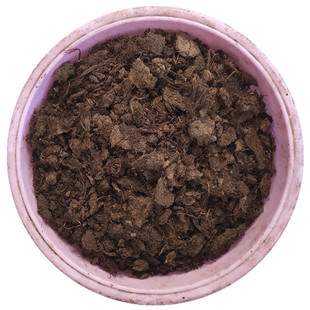 德国K牌680泥炭土扦插基质兰花君子兰苗子扦插小盆栽营养介质210L