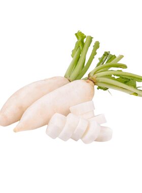 白萝卜种籽皮薄肉脆个头大九斤王