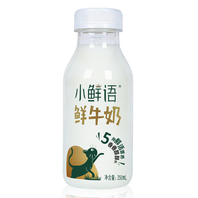 蒙牛每日鲜语小鲜语鲜牛奶250ml
