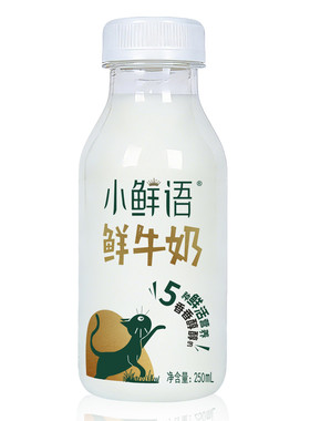 蒙牛每日鲜语小鲜语鲜牛奶250ml