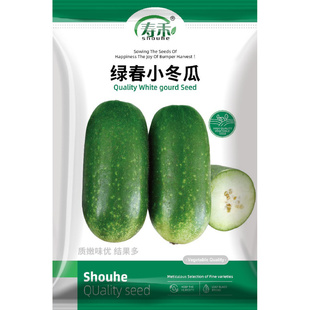 黑小宝冬瓜种子种籽苗大全菜苗四季秧孑秧苗南方东瓜蔬菜东瓜子种