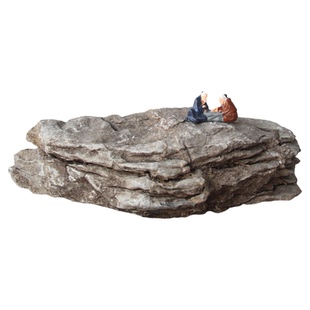 天然青龙石鱼缸造景石桌面景观造景装饰真石头一石一拍盆景树抱石