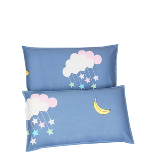 枕套全棉一对装儿童卡通枕头套纯棉单人小号40x60夏30乘50cm48*74