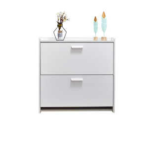 全尺寸超薄两翻斗现代简约家用门口楼梯口进门入户简易收纳矮鞋柜