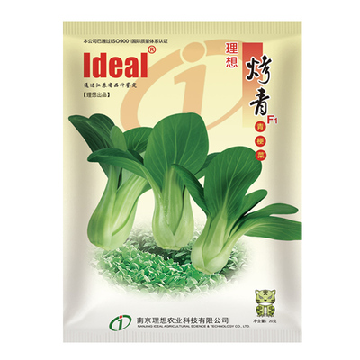 夏季耐热小青菜种子耐湿热