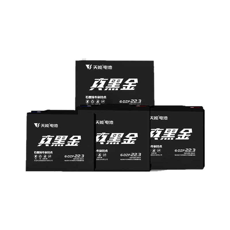 天能真黑金电动车电池60V22Ah
