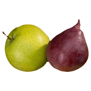 每天水果优选 山西梨果盲盒 每箱9颗随机发3-4个品种梨子整箱包邮