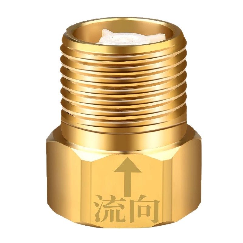 单向止回阀全铜马桶4分防反水卫生间水管止水阀防回水倒流止逆阀