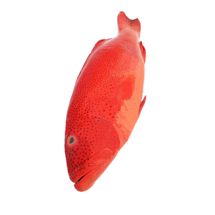 东星斑 鱼 新鲜野生台海钓石斑鲜活真正宗红刺身生鱼片冰鲜鱼海鲜