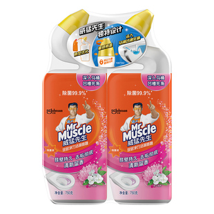威猛先生深层净力洁厕啫喱陌上花开750g*2厕所马桶洁厕清洁剂新品