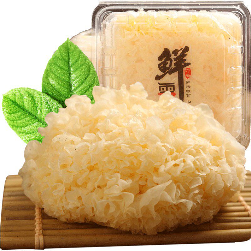 古田新鲜银耳6朵装包邮新鲜白木耳鲜活银耳雪耳活耳顺丰空运