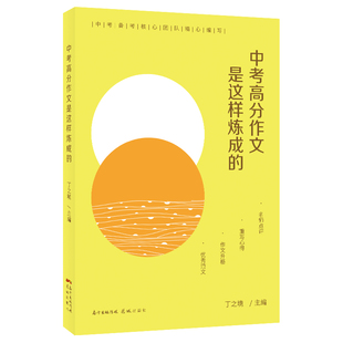 中考高分作文是这样炼成的 丁之境主编 名师解析点评中考作文越考越高分 初中作文集优秀范文高分必读冲刺 花城出版社