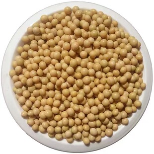 2025年新黄豆非转基因大豆发豆芽打豆浆东北新鲜黄豆腐便宜高蛋白