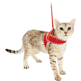 日本Petio派地奥猫咪专用胸背牵引绳遛猫绳猫绳子猫链英短牵引绳