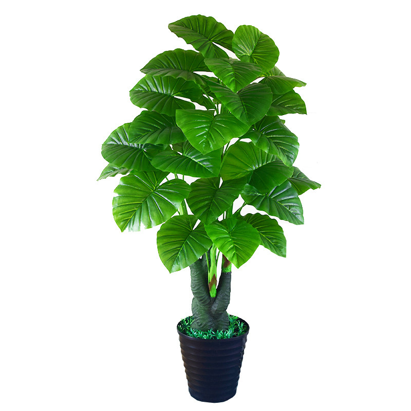 仿真绿植滴水观音仿真树假树
