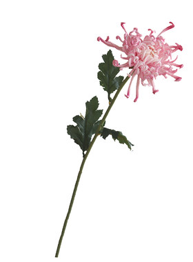 高仿真度粉色菊花仿真花