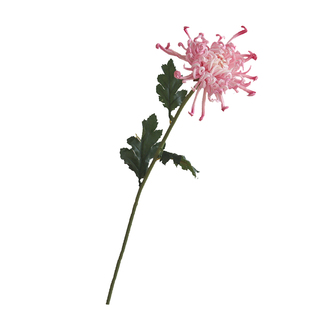 新中式仿真花菊花粉色高仿真度大朵凤尾菊逼真高级感假花桌面插花