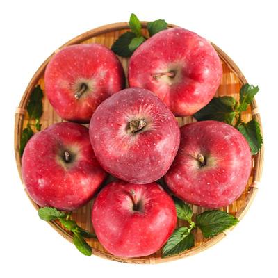 花牛苹果天水直发红蛇果10斤