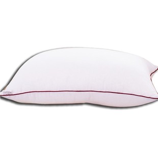 沙发靠背芯靠垫芯子十字绣抱枕芯40 45 50 55 60 65 70方靠枕定做