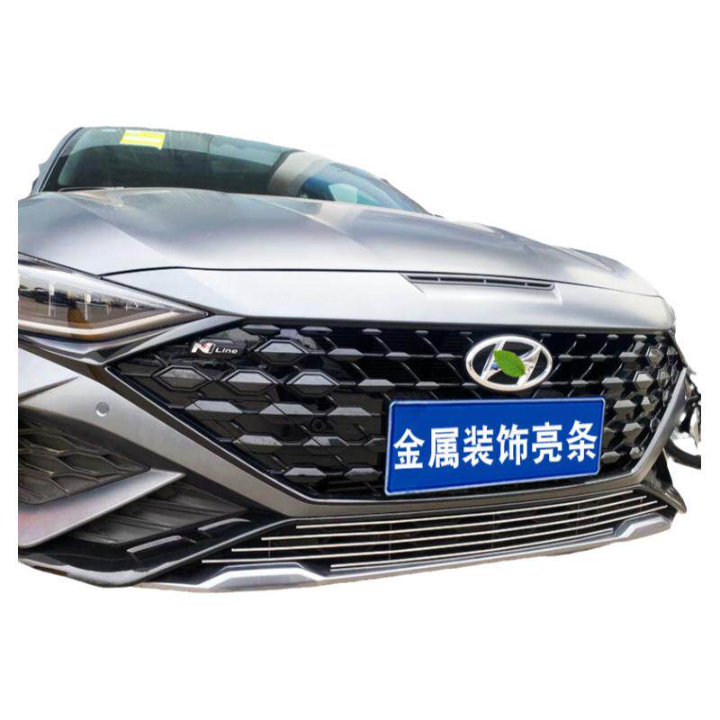 23款菲斯塔中网改装汽车防虫网